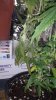 20131116_192337.jpg