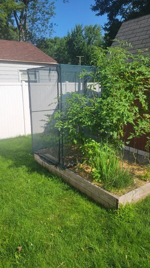 20230718_100952.jpg
