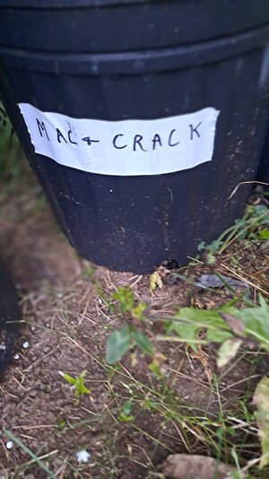20230805_201956.jpg
