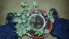 20131027_174913.jpg