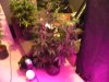 DSCN3522.jpg