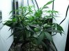 WEEK FIVE NL-SR 006.jpg