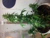 ForumRunner_20131121_014631.jpg