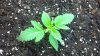 2013-11-21_19-56-35_47.jpg