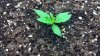 2013-11-21_19-54-16_394.jpg