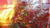DSC00861.jpg