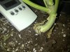 IMG-20131123-00448.jpg