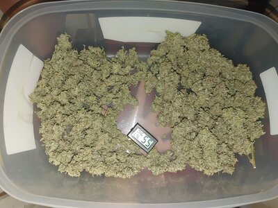 0911231358_HDR.jpg