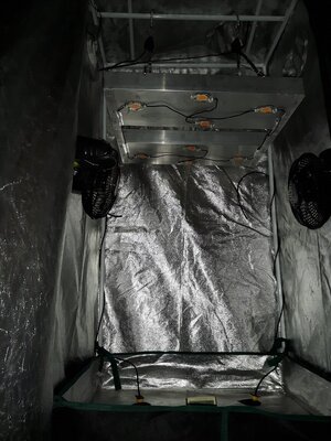 IMG_20230928_175436.jpg
