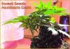DSCF2112.jpg