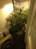 IMG_0039.jpg