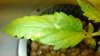WP_20131127_10_37_47_Pro.jpg