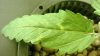 WP_20131127_10_38_07_Pro.jpg