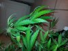 20131127_115221.jpg