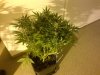 IMG-20131128-00464.jpg