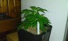 WP_20131130_002.jpg