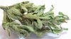 Dried berry indica - Copy.jpg