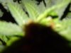 DSCN3538.jpg