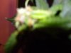 DSCN3539.jpg
