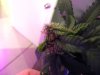 DSCN3540.jpg