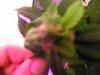 DSCN3542.jpg