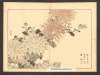 bairei_kono___1890s_japanese_woodblock_print.jpg