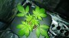 WP_20131204_15_46_03_Pro.jpg