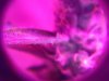 IMG_0938 - Copy.jpg