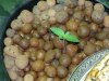 CreamMandarineAutoGrow 004.jpg