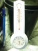 CreamMandarineAutoGrow 013.jpg