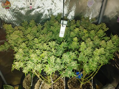 0301240740a_HDR~2.jpg