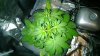 WP_20131208_12_19_44_Pro.jpg