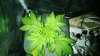 WP_20131208_12_19_58_Pro.jpg