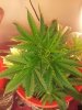 20131208_073945.jpg