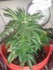 20131208_074111.jpg