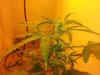 20131206_121514.jpg