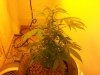 20131206_121537.jpg