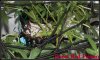 DSCF2187.jpg