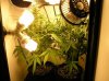 Closet Grow NL-SR 003.jpg