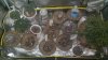 2013-12-10_13-59-51_270.jpg