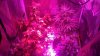 2013-12-10_14-02-22_500.jpg