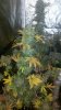 2013-12-10_14-03-04_182.jpg