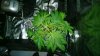 WP_20131211_12_02_21_Pro.jpg
