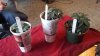 20131211_125610.jpg