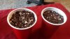 20131211_125922.jpg