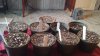 20131211_130242.jpg