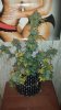 20131211_143015.jpg