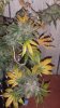 20131211_143225.jpg