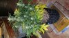 20131211_222844.jpg