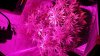 20131212_012740.jpg